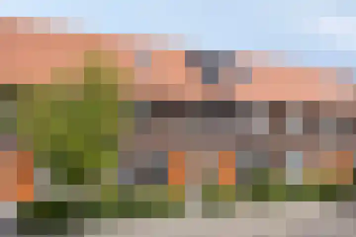 Boskolk 10 Wapenveld thumbnail 39