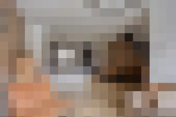 Boskolk 10 Wapenveld thumbnail 4
