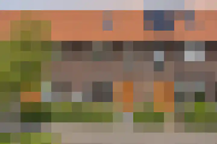 Boskolk 10 Wapenveld thumbnail 41