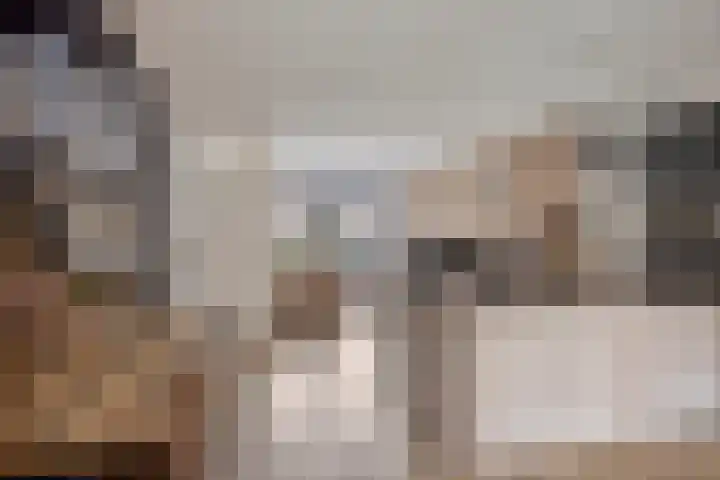Boskolk 10 Wapenveld thumbnail 6
