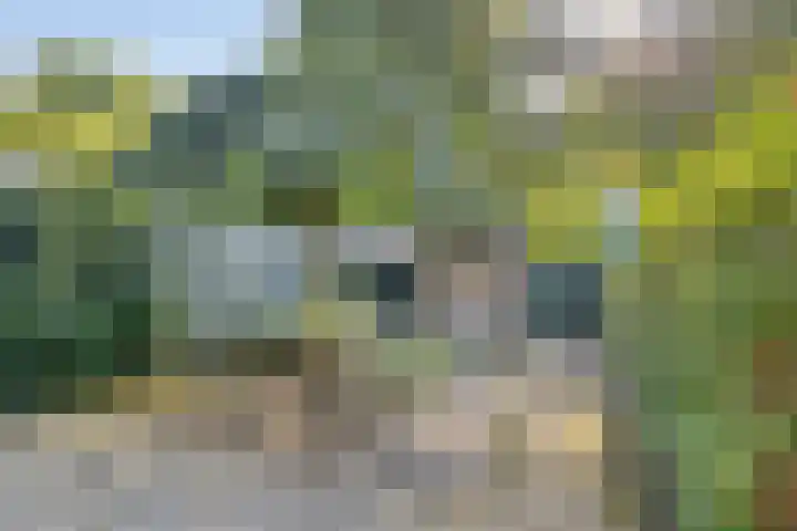 Boskoopplantsoen 34 Arnhem thumbnail 22