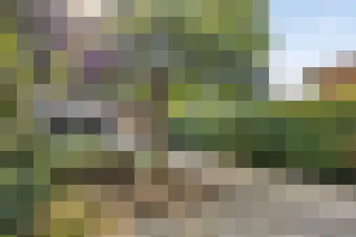 Boskoopplantsoen 34 Arnhem thumbnail 23