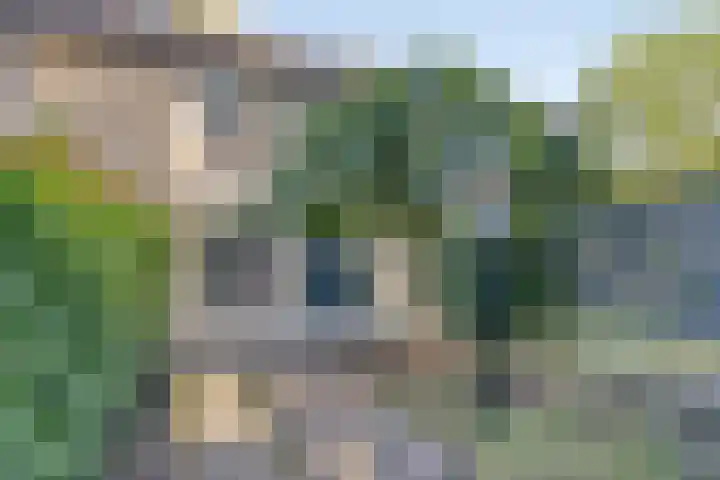 Boskoopplantsoen 34 Arnhem thumbnail 24