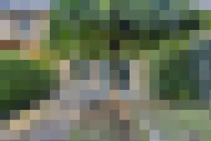 Boskoopplantsoen 34 Arnhem thumbnail 25