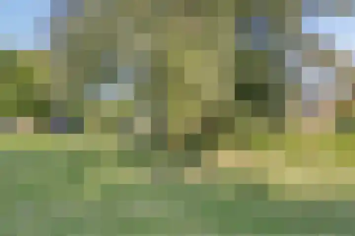 Boskoopplantsoen 34 Arnhem thumbnail 26