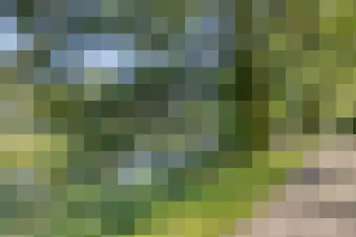 Boskoopplantsoen 34 Arnhem thumbnail 27