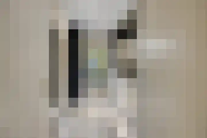 Boskoopplantsoen 34 Arnhem thumbnail 5