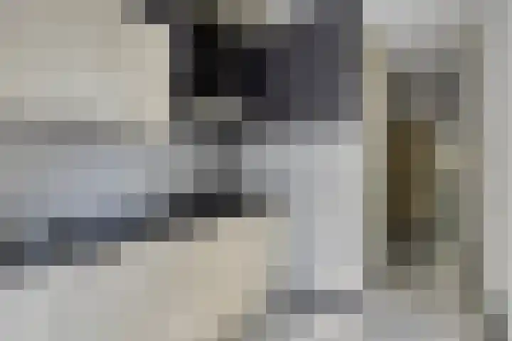 Boskoopplantsoen 34 Arnhem thumbnail 8