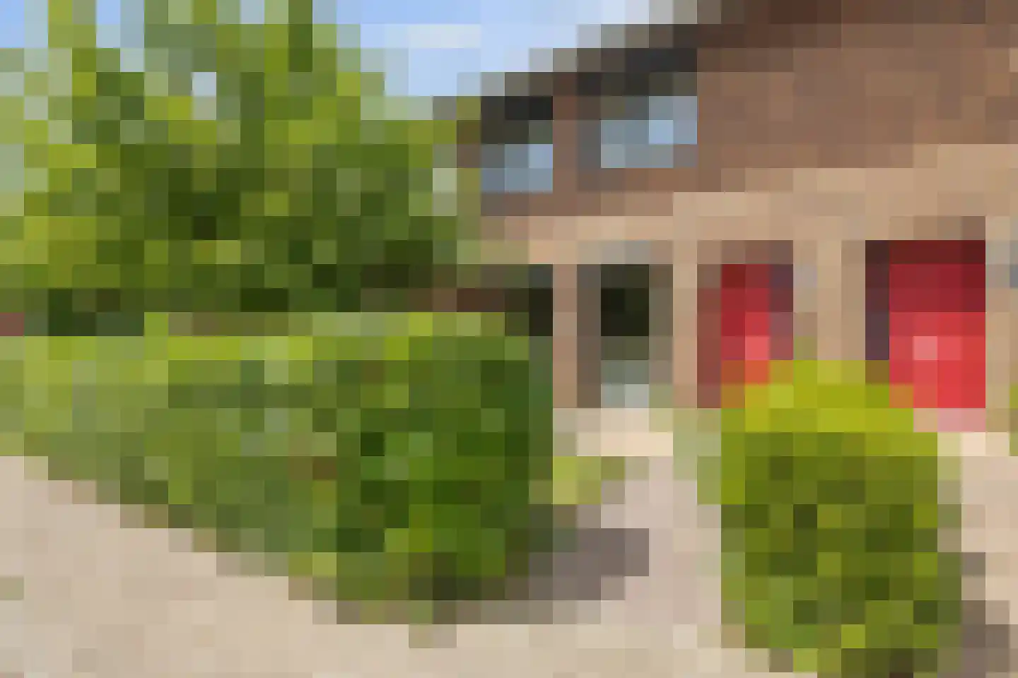 Boskoops Glorie 14 Huissen