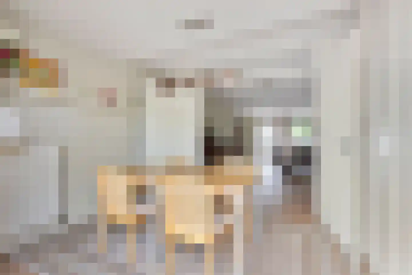 Boskoops Glorie 14 Huissen thumbnail 11