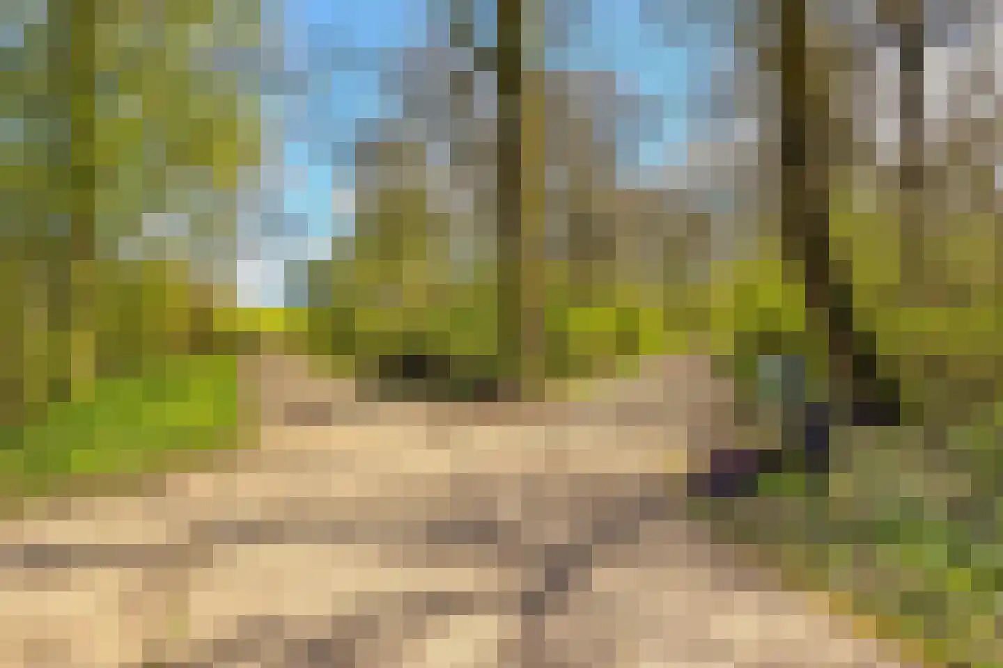 Boskoops Glorie 14 Huissen thumbnail 20