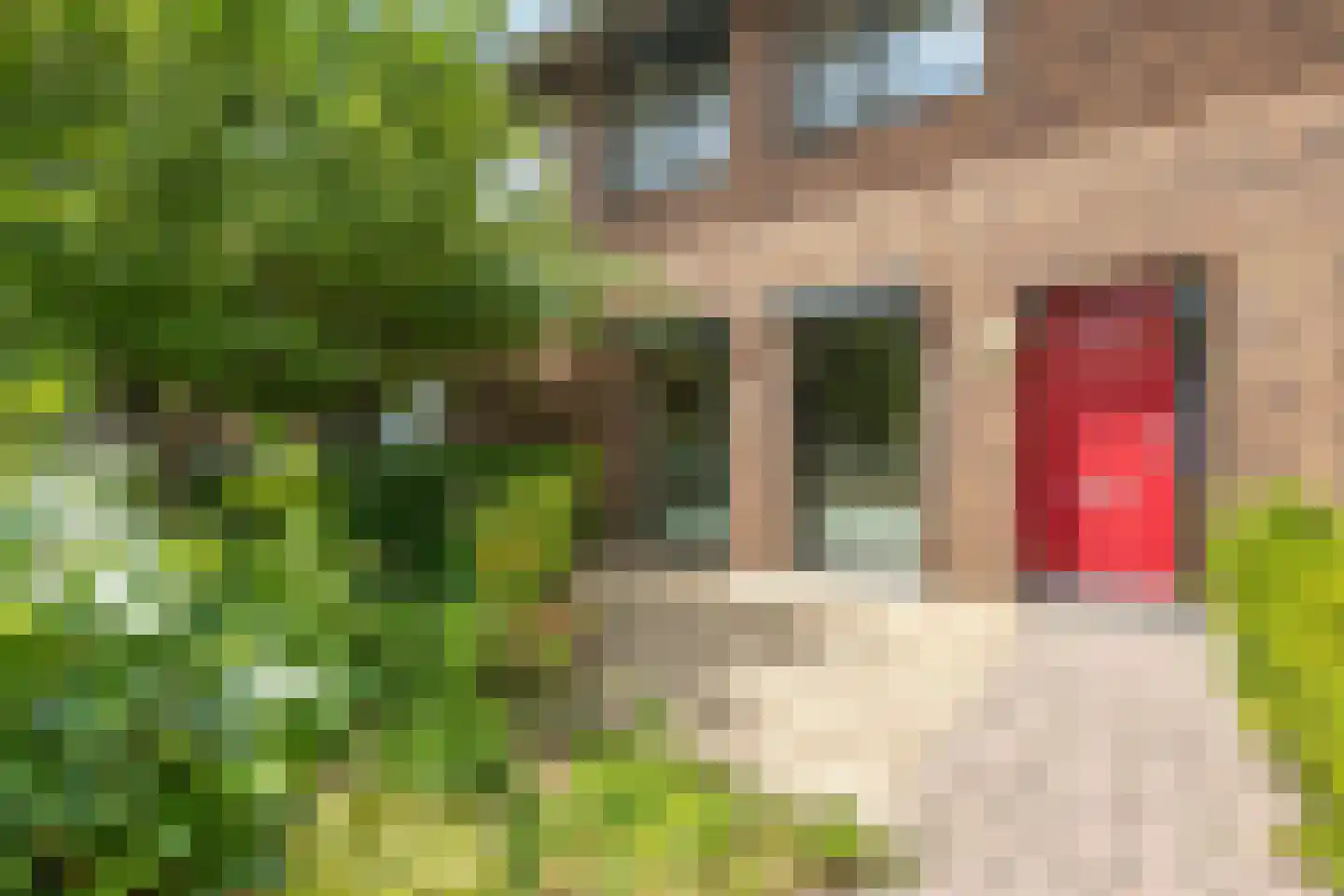 Boskoops Glorie 14 Huissen thumbnail 4