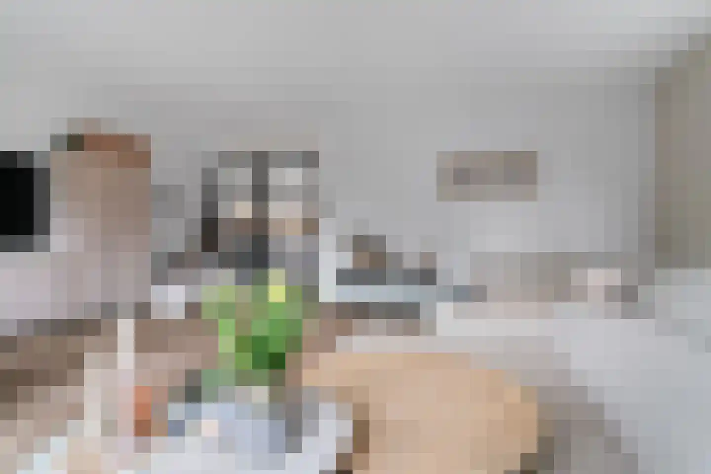 Boskoops Glorie 2 Huissen thumbnail 10