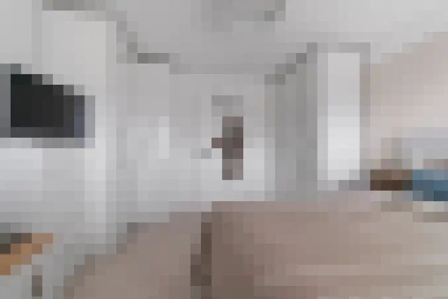 Boskoops Glorie 2 Huissen thumbnail 18