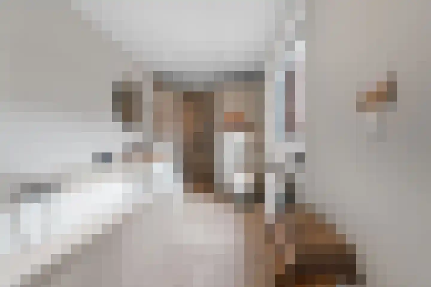 Boskoops Glorie 2 Huissen thumbnail 22