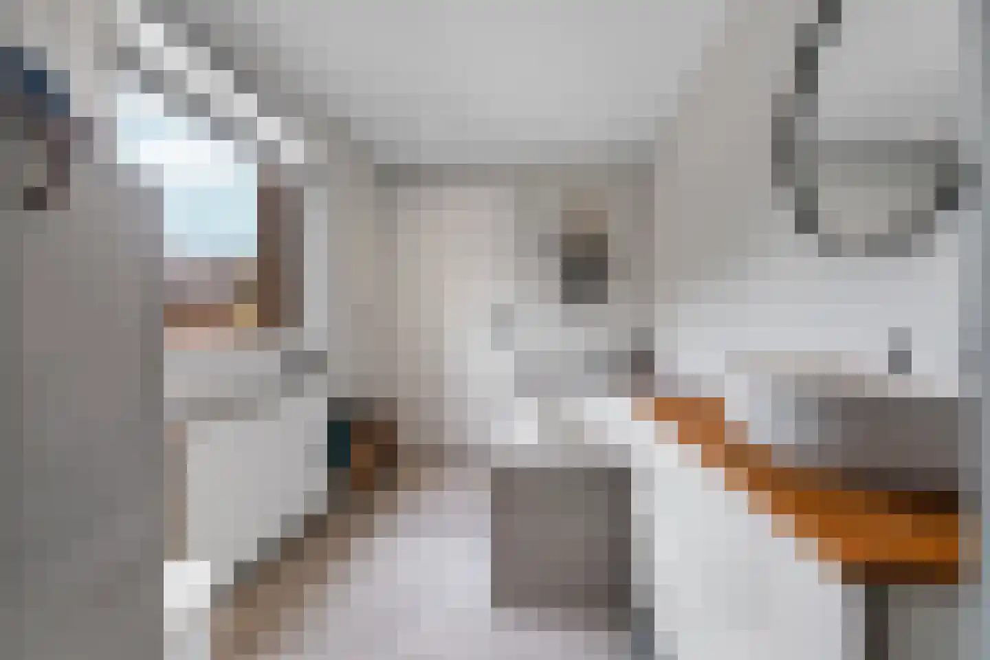 Boskoops Glorie 2 Huissen thumbnail 24