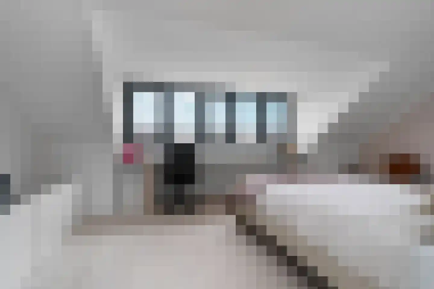 Boskoops Glorie 2 Huissen thumbnail 28