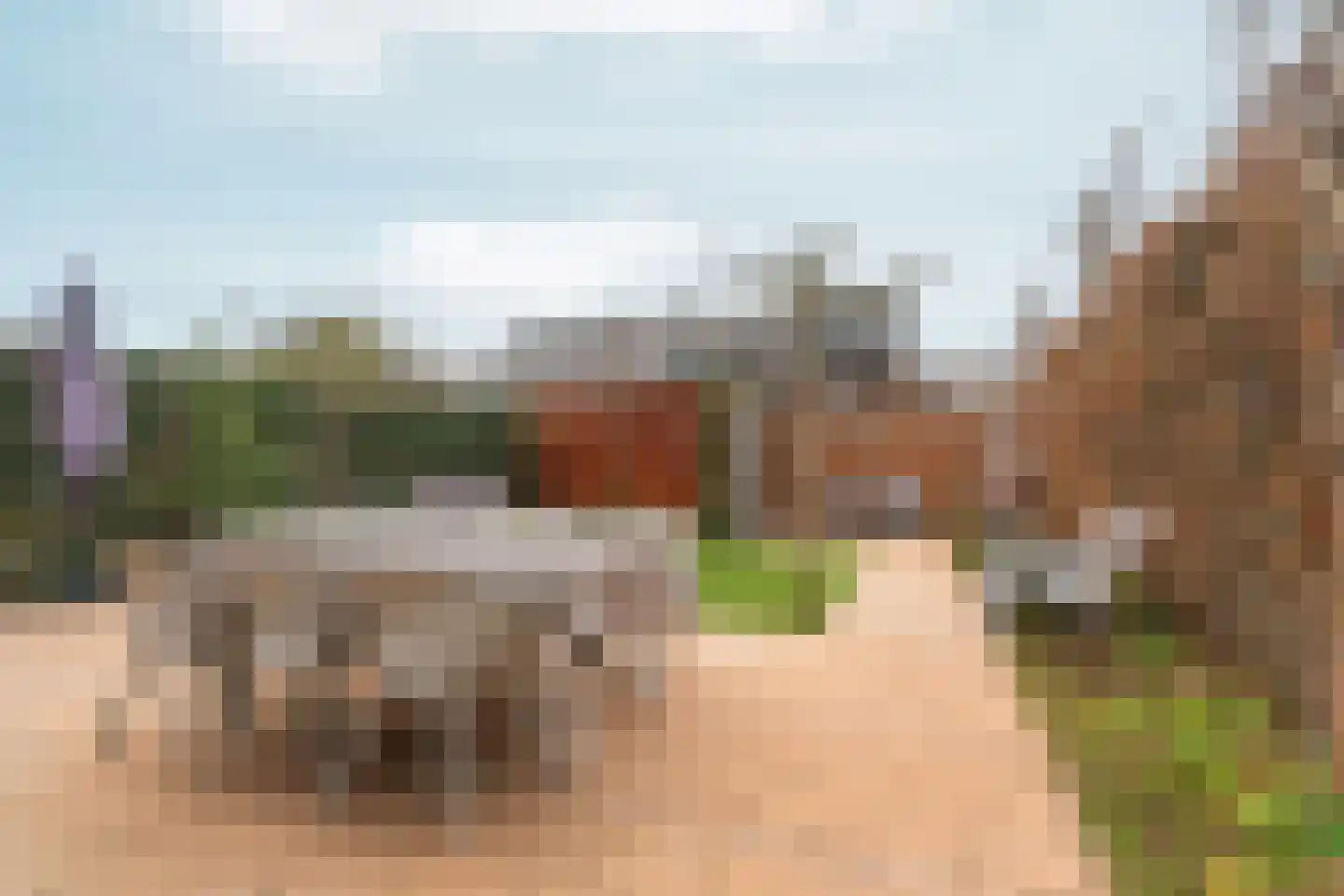 Boskoops Glorie 2 Huissen thumbnail 35