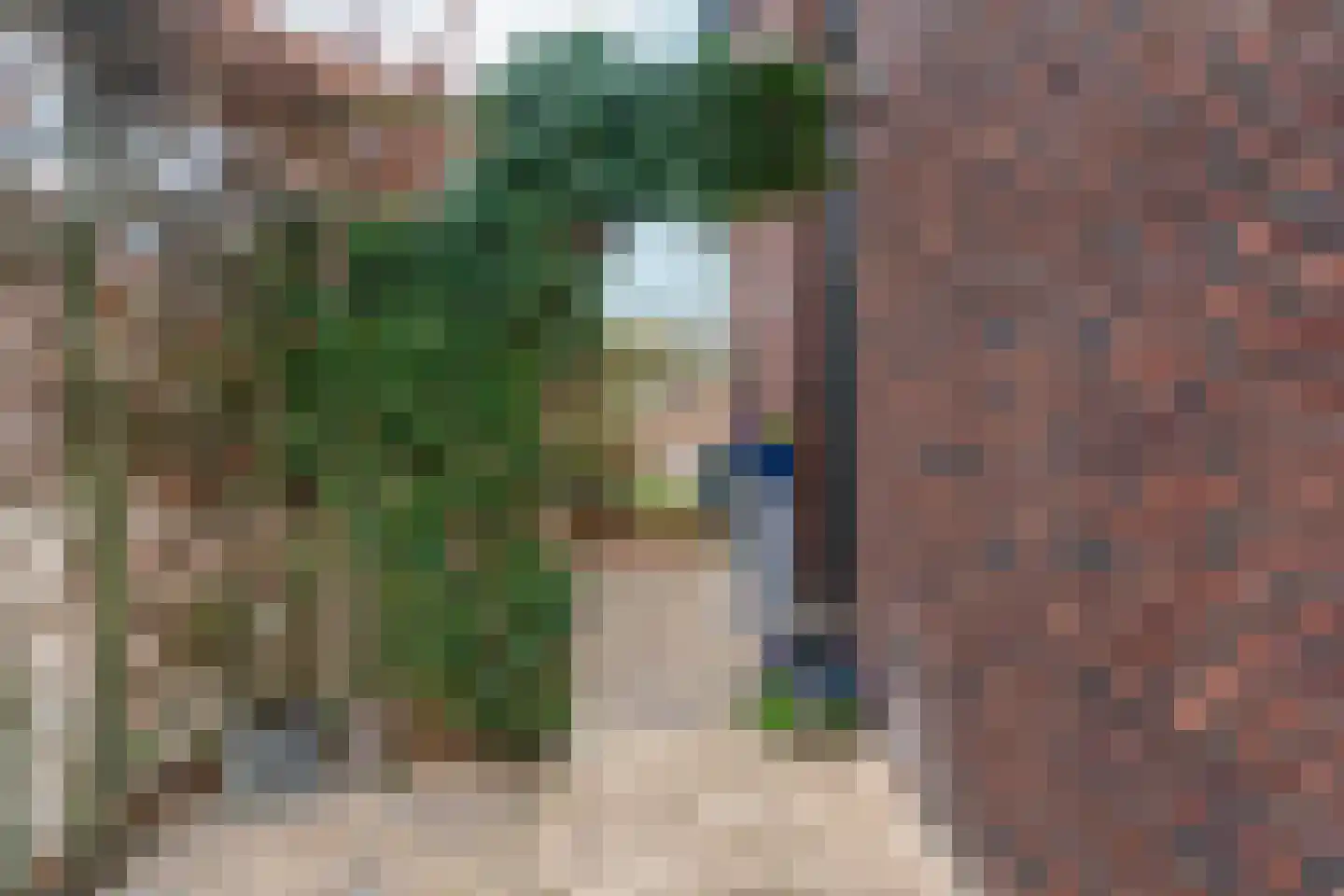 Boskoops Glorie 2 Huissen thumbnail 41