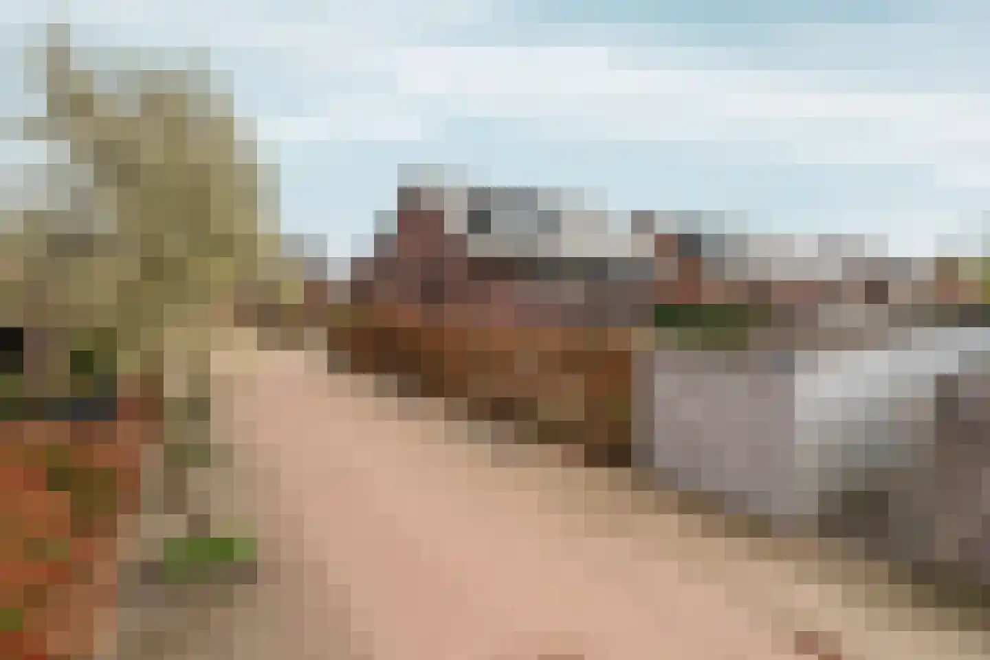 Boskoops Glorie 2 Huissen thumbnail 47