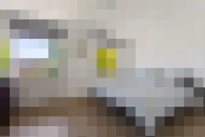 Boskoops Glorie 3 Huissen thumbnail 16