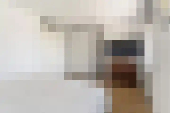 Boskoops Glorie 3 Huissen thumbnail 17