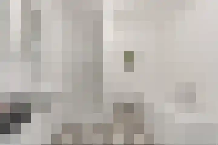 Boskoops Glorie 3 Huissen thumbnail 21