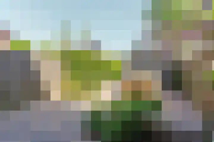 Boskoops Glorie 3 Huissen thumbnail 27