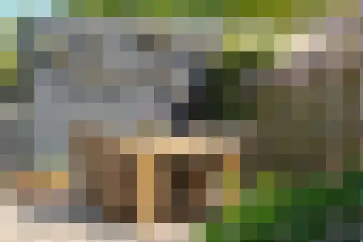 Boskoops Glorie 3 Huissen thumbnail 28