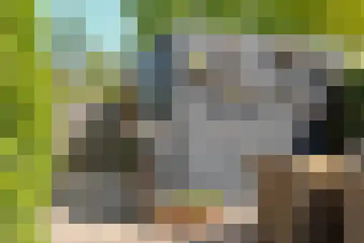 Boskoops Glorie 3 Huissen thumbnail 29