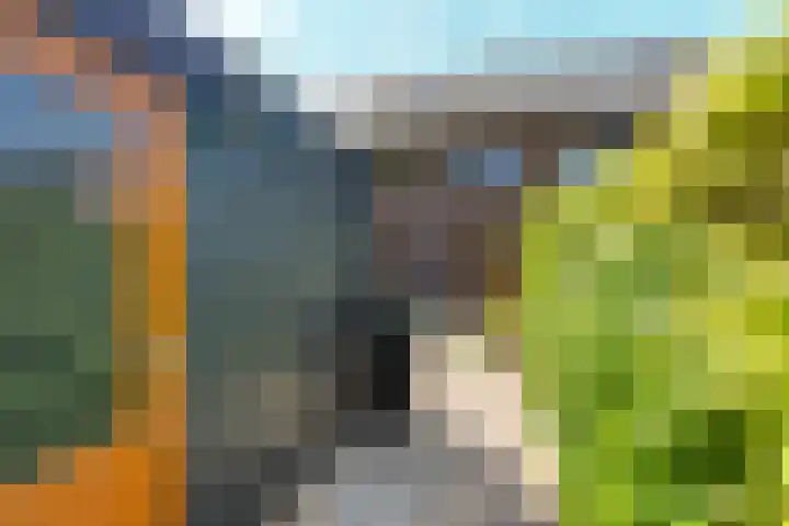 Boskoops Glorie 3 Huissen thumbnail 30