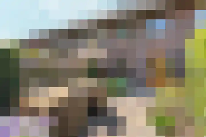 Boskoops Glorie 3 Huissen thumbnail 31