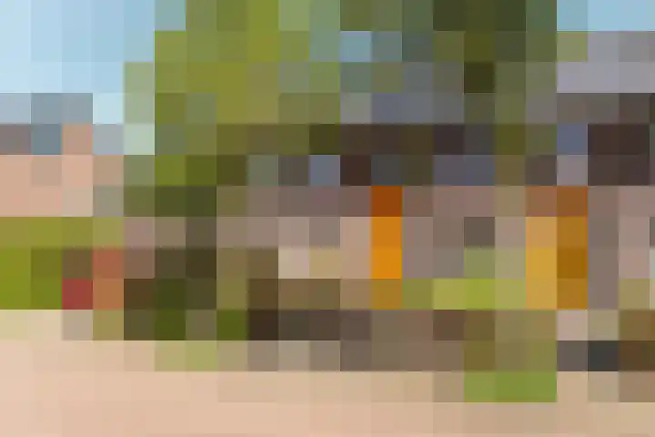 Boskoops Glorie 3 Huissen thumbnail 35