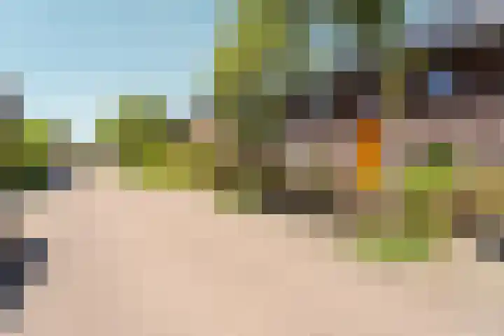 Boskoops Glorie 3 Huissen thumbnail 36