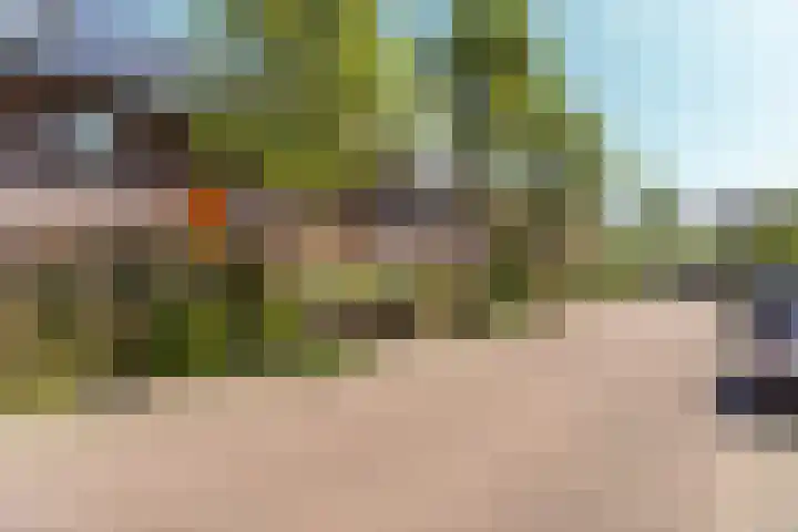 Boskoops Glorie 3 Huissen thumbnail 37