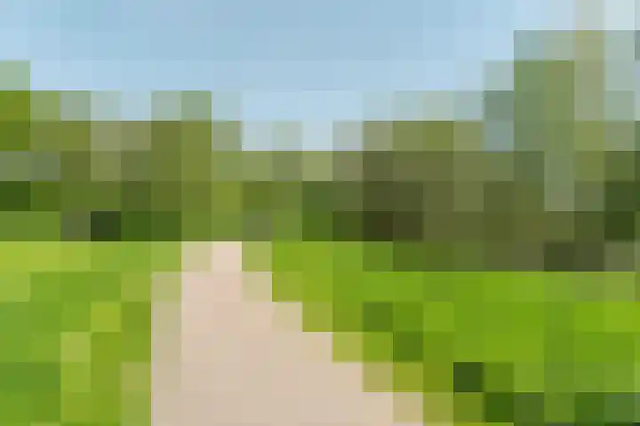 Boskoops Glorie 3 Huissen thumbnail 40
