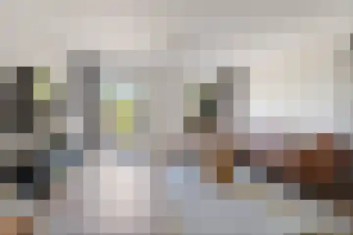 Boskoops Glorie 3 Huissen thumbnail 5