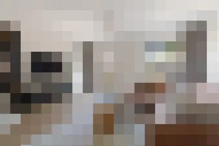 Boskoops Glorie 3 Huissen thumbnail 6