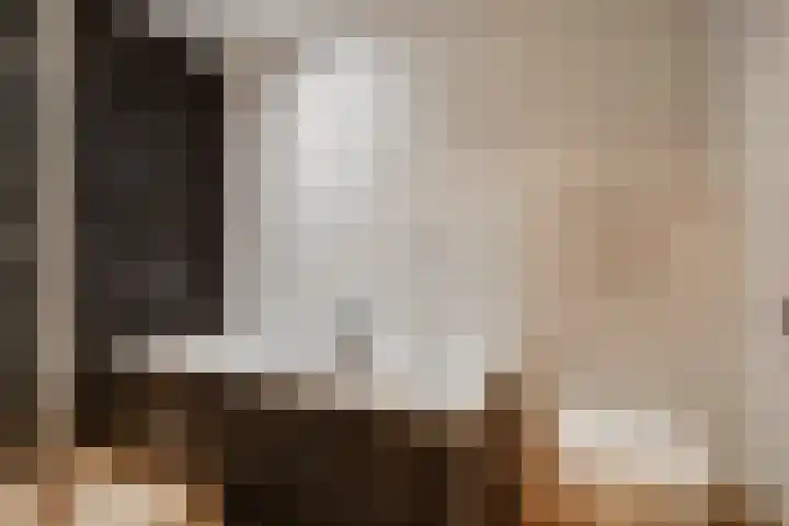Boskoops Glorie 5 Huissen thumbnail 16