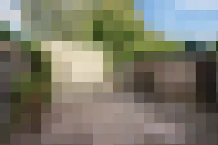Boskoops Glorie 5 Huissen thumbnail 26