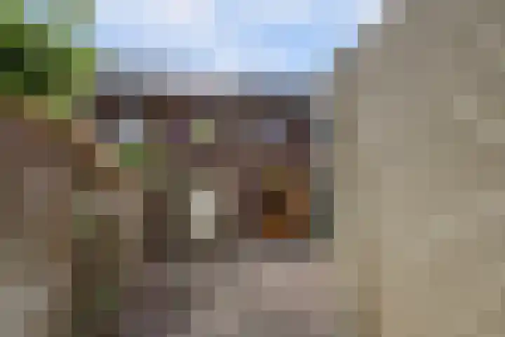 Boskoops Glorie 5 Huissen thumbnail 29