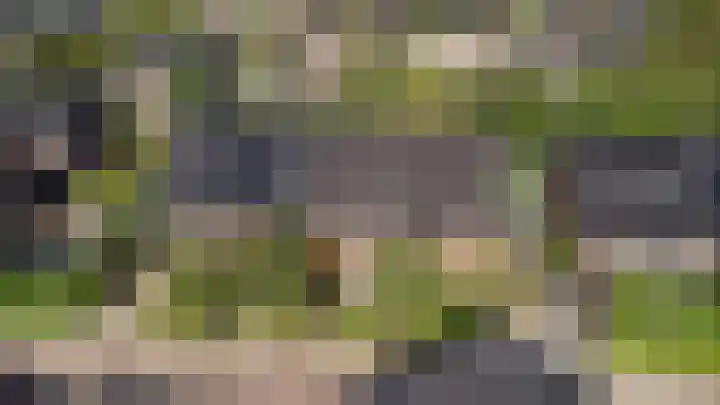 Boskoops Glorie 5 Huissen thumbnail 32