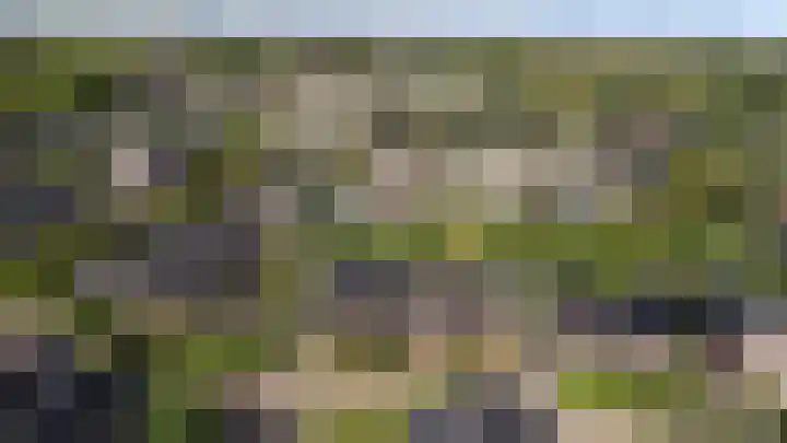 Boskoops Glorie 5 Huissen thumbnail 33