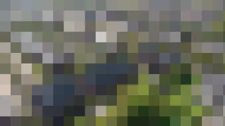 Boskoops Glorie 5 Huissen thumbnail 34