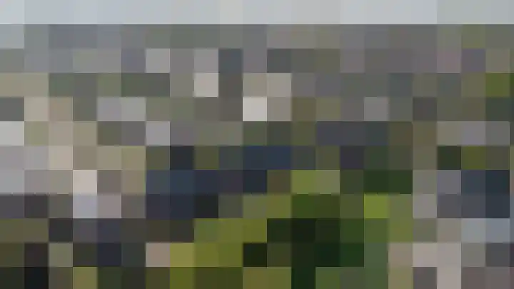 Boskoops Glorie 5 Huissen thumbnail 35