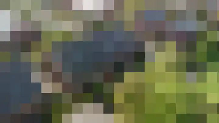 Boskoops Glorie 5 Huissen thumbnail 36