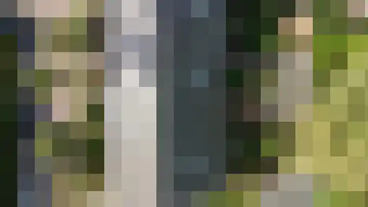Boskoops Glorie 5 Huissen thumbnail 37