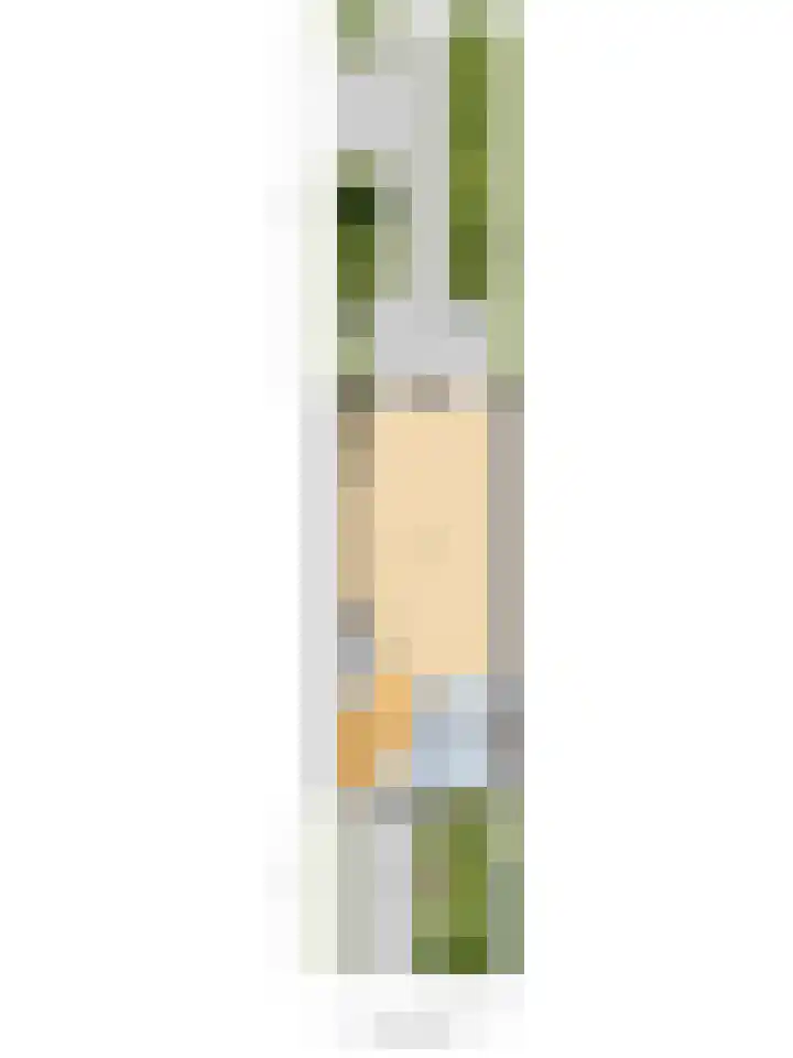 Boskoops Glorie 5 Huissen thumbnail 41
