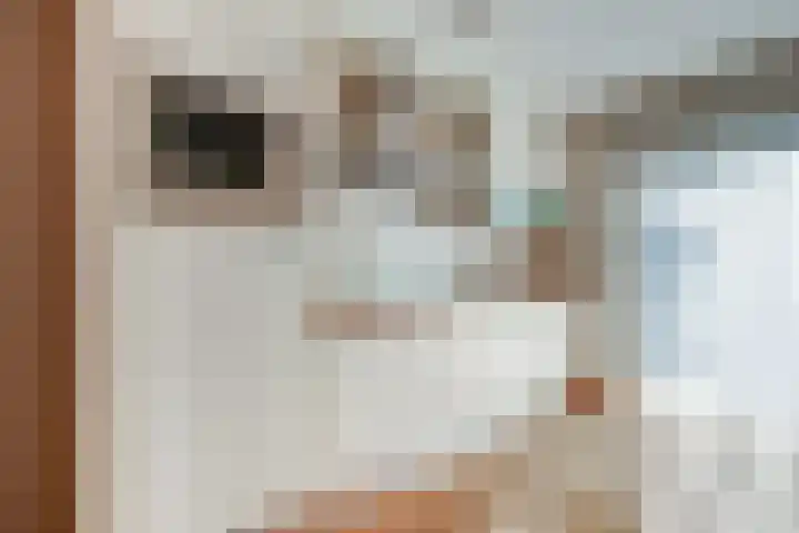 Boskoops Glorie 5 Huissen thumbnail 7