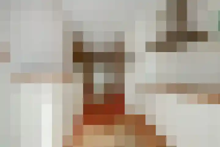Boskoops Glorie 5 Huissen thumbnail 8